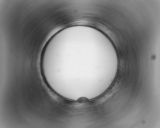 X0000103401426200810031215