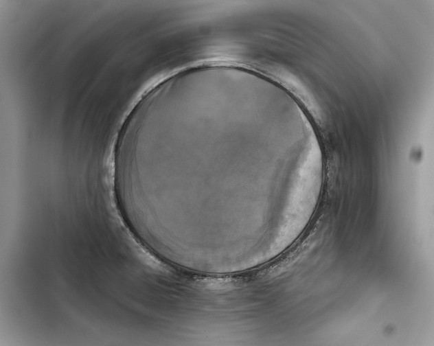 X0000103401428200810031215