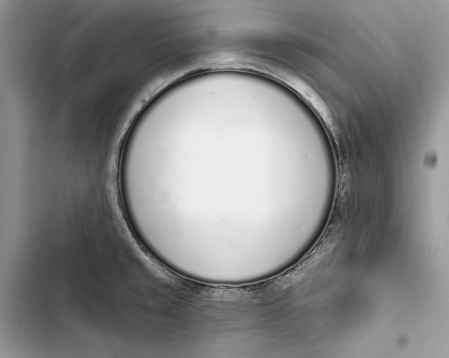 X0000103401429200810031215