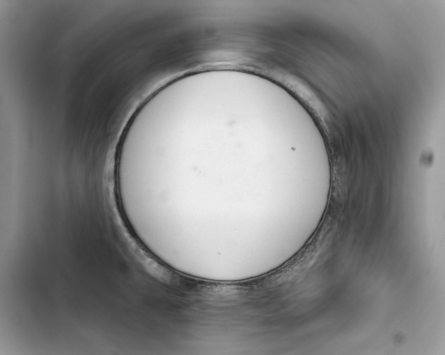 X0000103401431200810031215