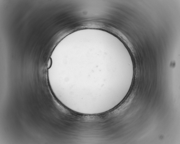 X0000103401433200810031215