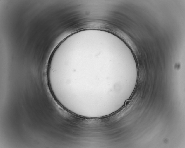 X0000103401434200810031215