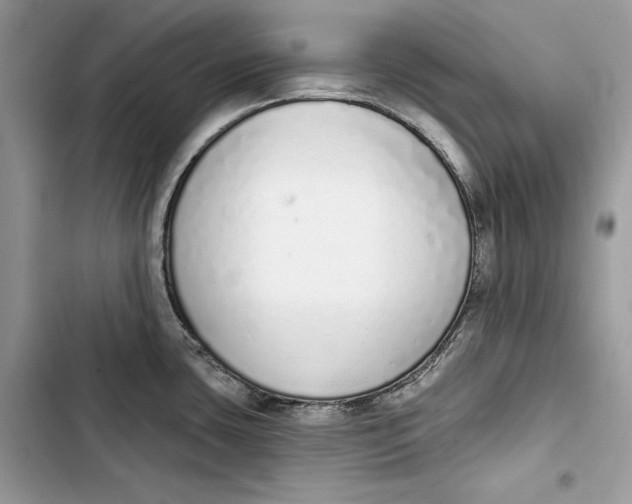 X0000103401435200810031215