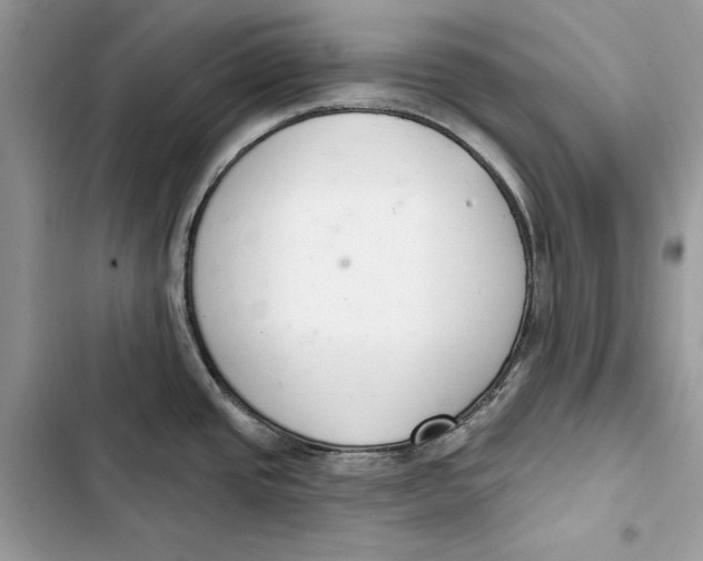 X0000103401437200810031215