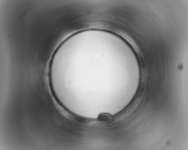 X0000103401439200810031215