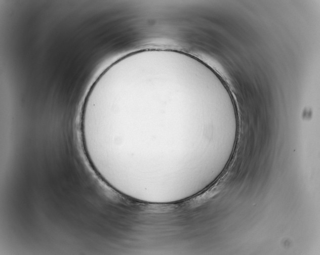 X0000103401440200810031215