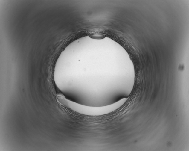 X0000103401441200810031214