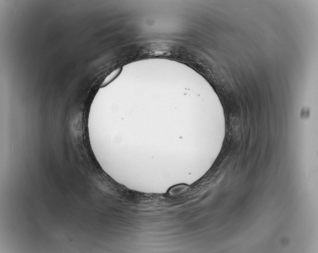 X0000103401442200810031214