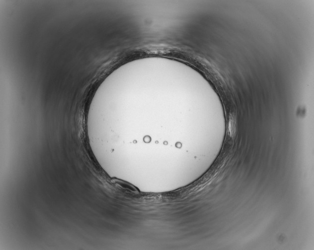 X0000103401444200810031214