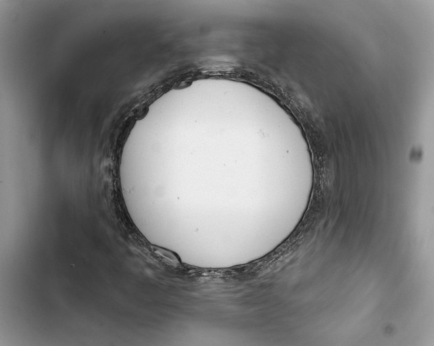 X0000103401445200810031214