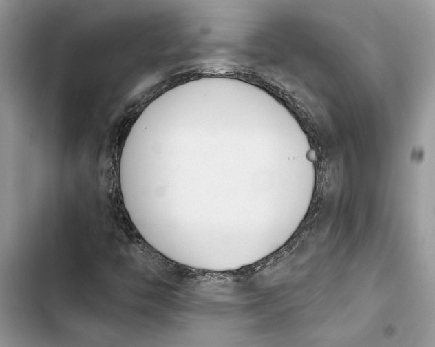 X0000103401446200810031214