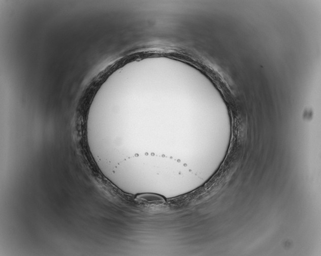 X0000103401448200810031214