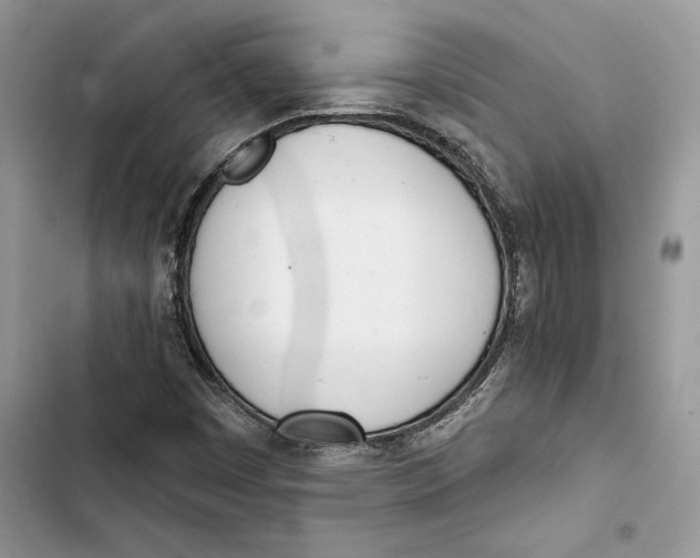 X0000103401449200810031214