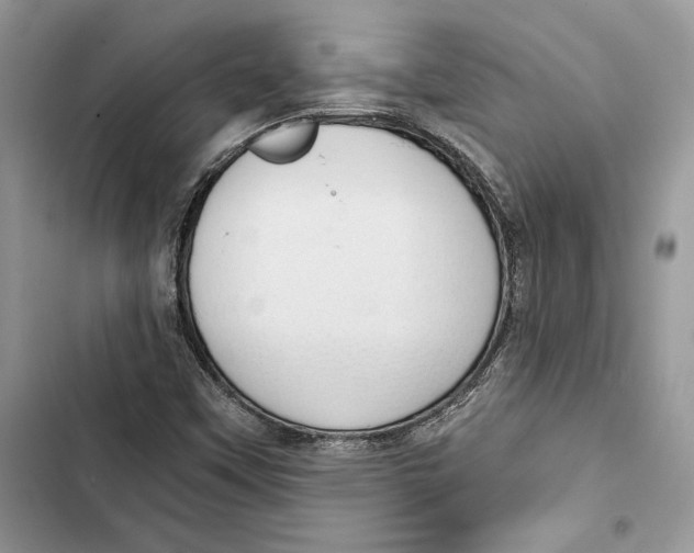 X0000103401451200810031214