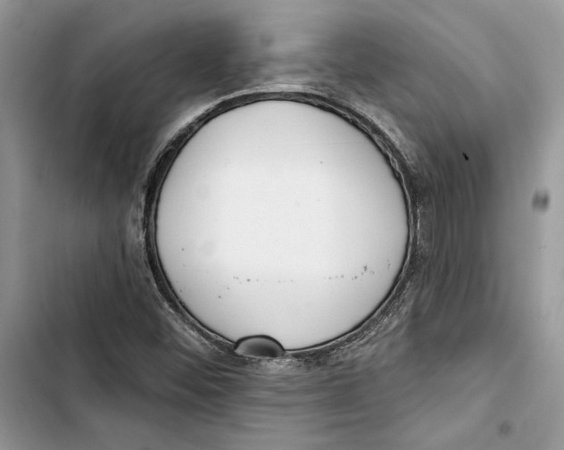 X0000103401452200810031214