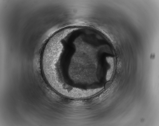 X0000103401455200810031214