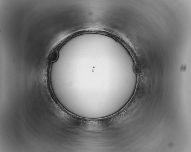 X0000103401456200810031214