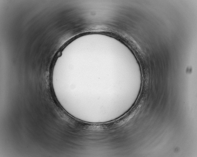 X0000103401457200810031214