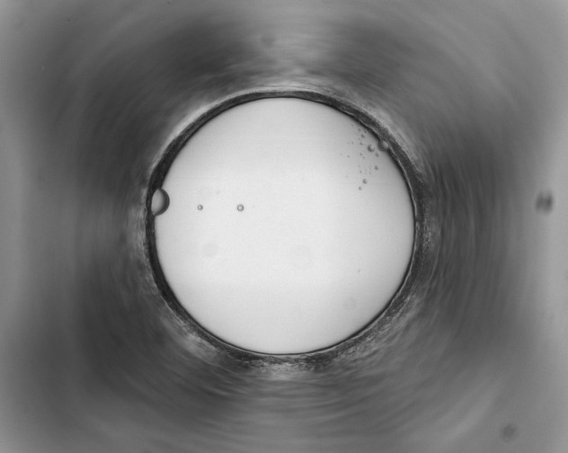 X0000103401460200810031214