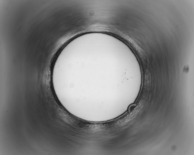 X0000103401461200810031214