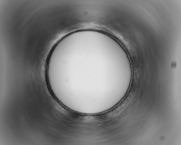 X0000103401463200810031214