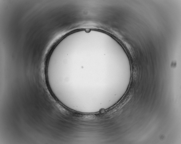 X0000103401464200810031214