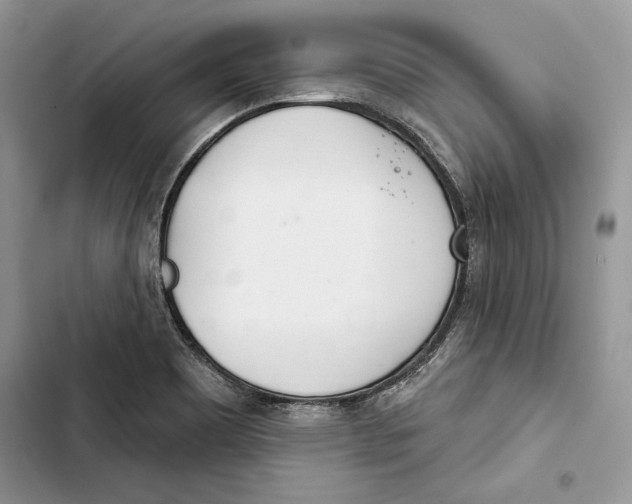 X0000103401465200810031214