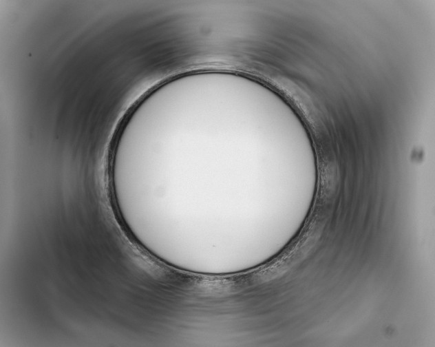 X0000103401466200810031214