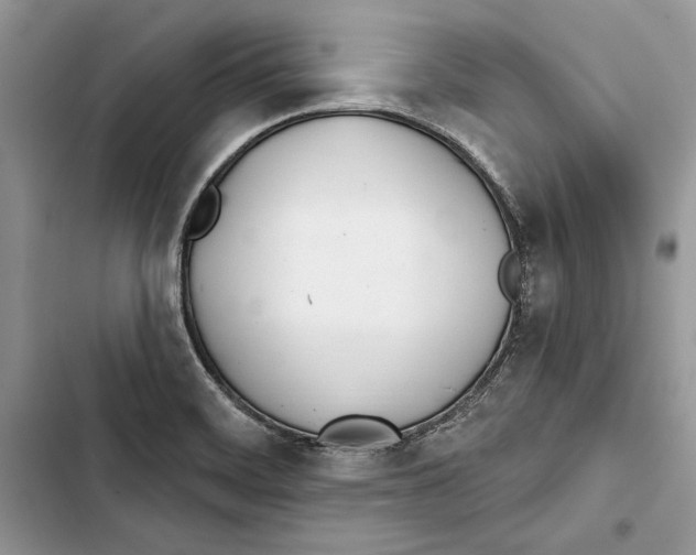 X0000103401468200810031214