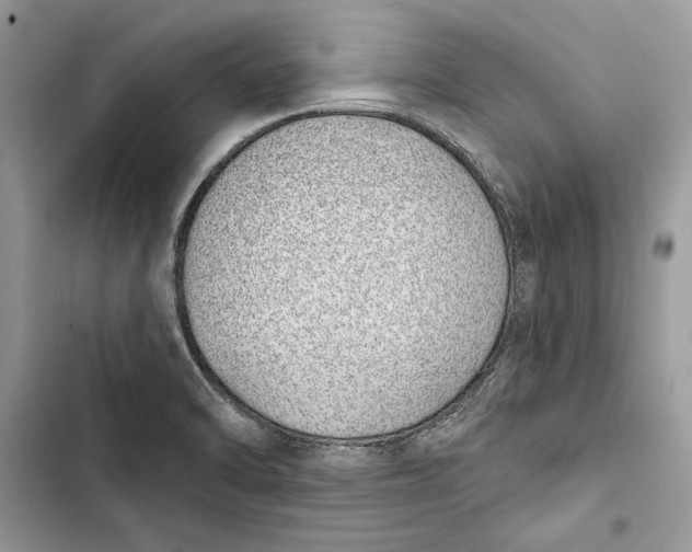 X0000103401470200810031214