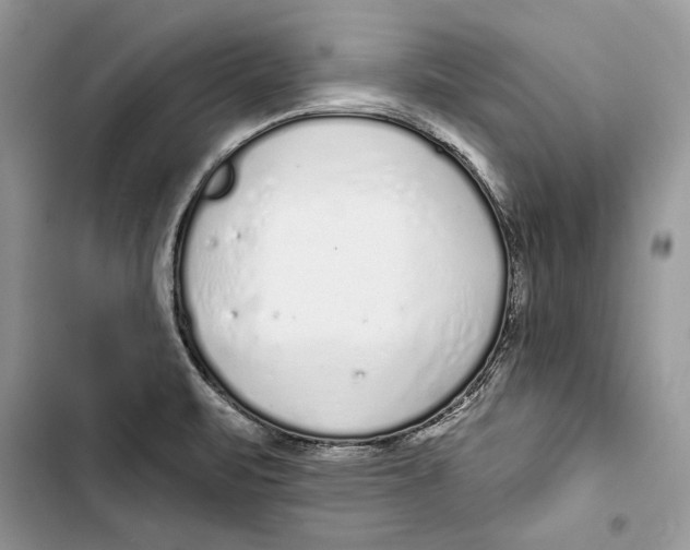 X0000103401471200810031214