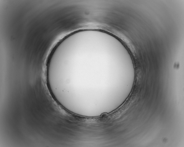 X0000103401472200810031214