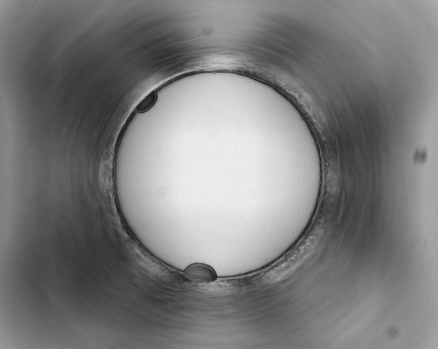 X0000103401473200810031214