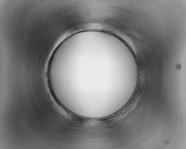 X0000103401475200810031214