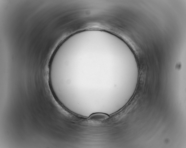 X0000103401476200810031214