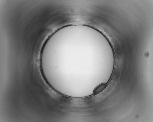 X0000103401477200810031214