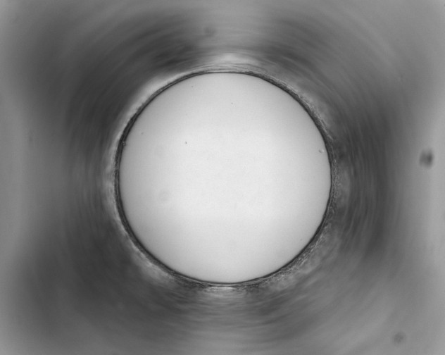 X0000103401478200810031214