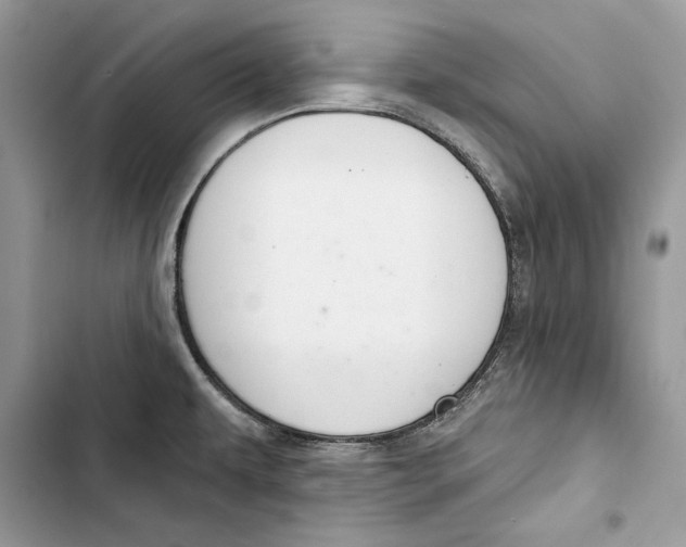 X0000103401479200810031214