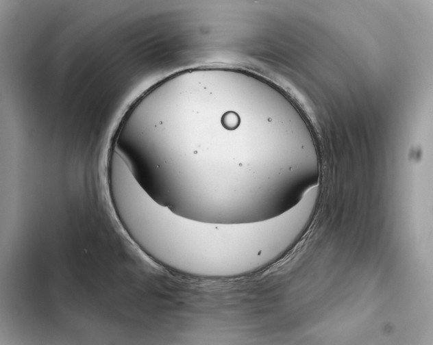 X0000103401480200810031214