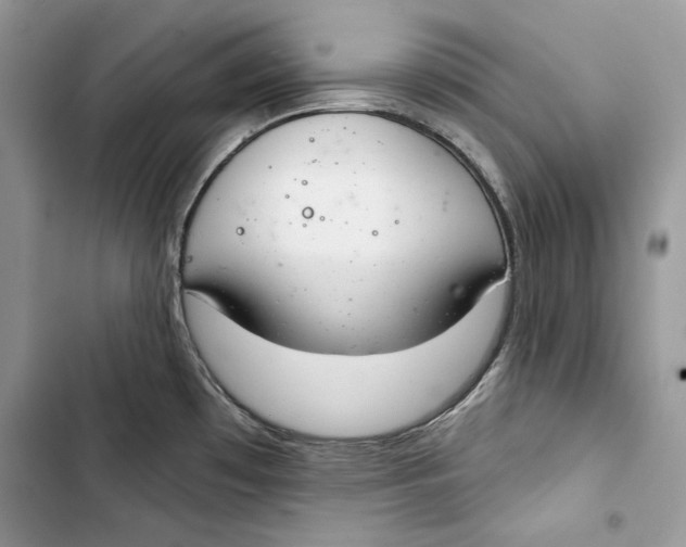 X0000103401481200810031214