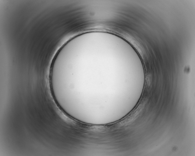 X0000103401482200810031214