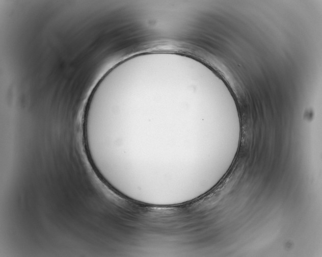 X0000103401483200810031214