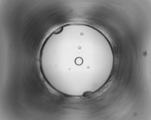 X0000103401485200810031214