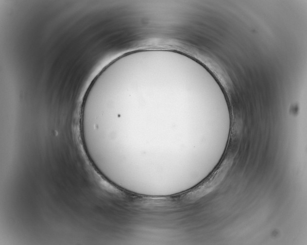 X0000103401486200810031214