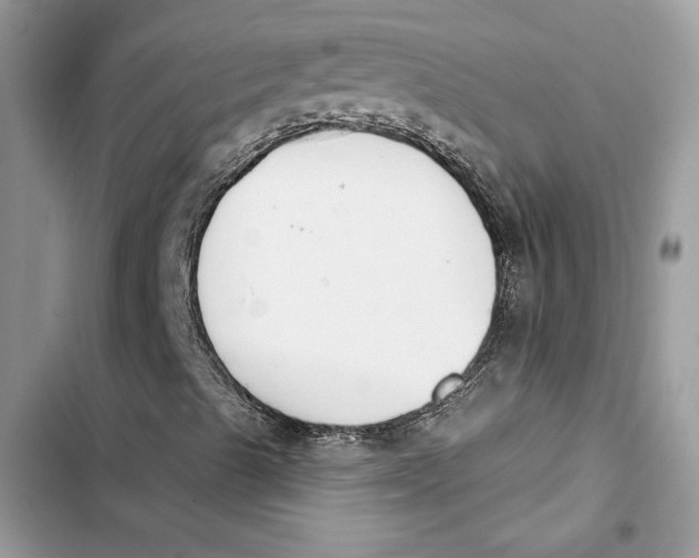 X0000103401489200810031213