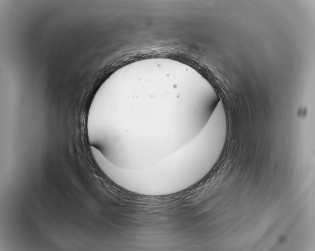 X0000103401492200810031213