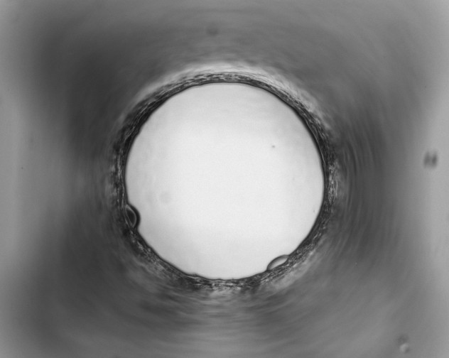 X0000103401494200810031213