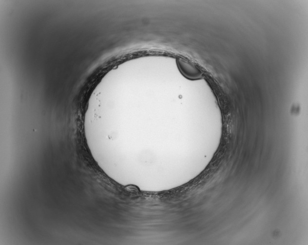 X0000103401495200810031213