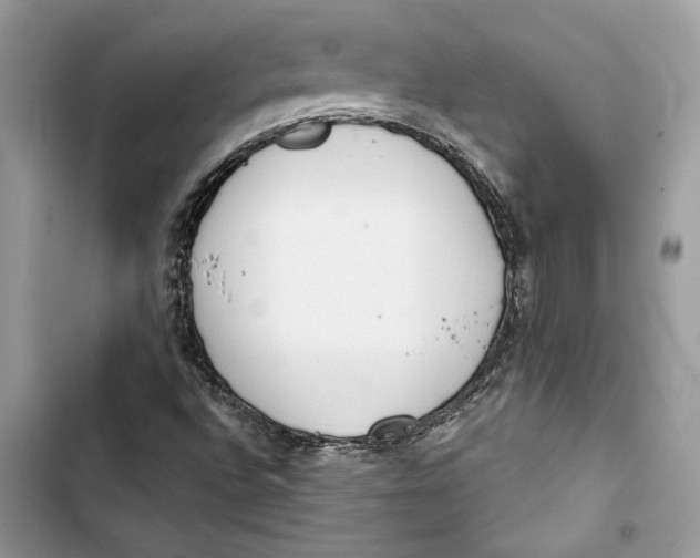 X0000103401496200810031213