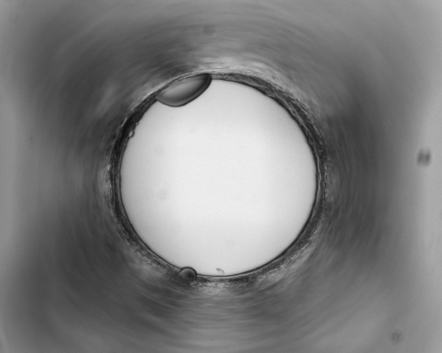 X0000103401497200810031213